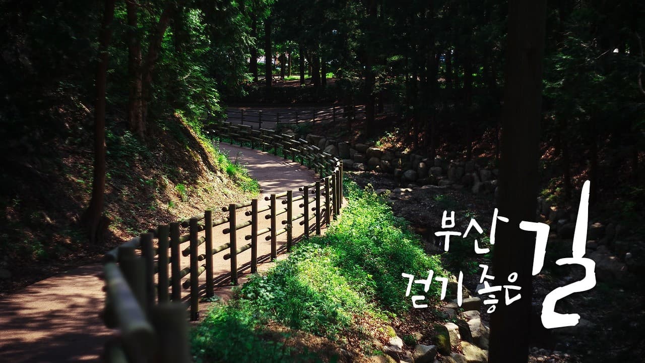 Best Walking Paths in Busan!