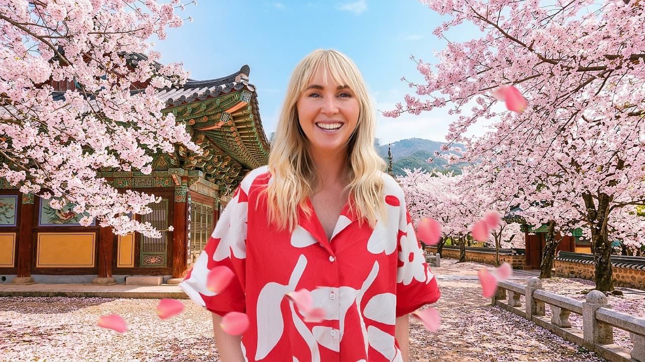 We Went to South Korea (everything to see and do)