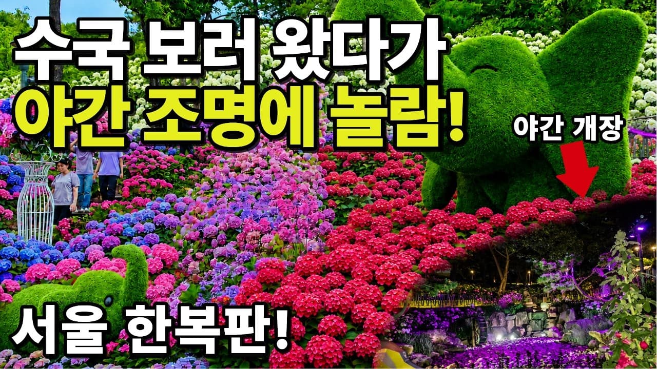 Festival de Hortensias en la Montaña Chuan de Seúl